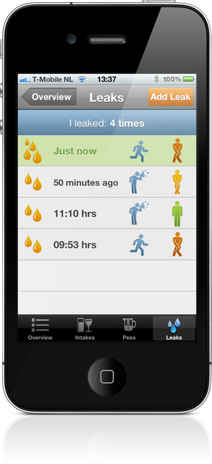 iP Voiding Diary screen for recording an incident of urine loss